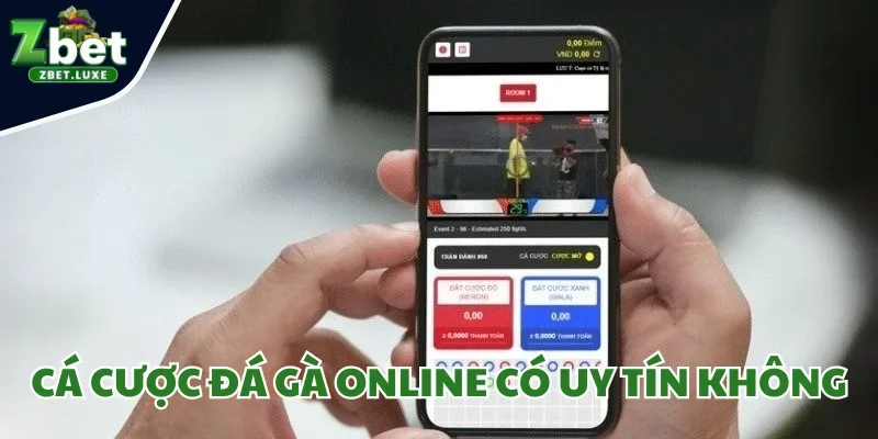 Cá Cược Đá Gà Online Có Uy Tín Không